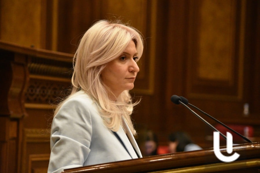 Նախորդ տարվա ընթացքում բուլինգի մի շարք դեպքեր ենք ունեցել. Արաքսիա Սվաջյան